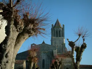 Abdij van Sablonceaux - Bomen en abdijkerk in Saintonge