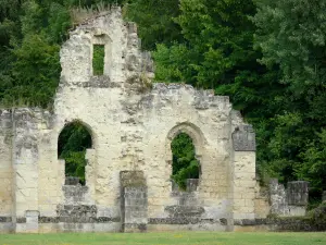 Abtei von Vauclair - Überreste (Ruinen) der ehemaligen Zisterzienserabtei, und Bäume des Waldes von Vauclair; auf der Gemeinde Bouconville-Vauclair