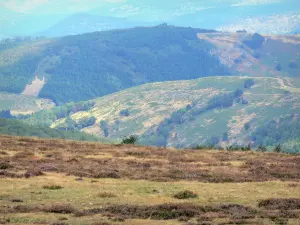 Aigoual Massiv - Gebirgslandschaft vom Berg Aigoual aus; im Nationalpark der Cevennen (Cevennen-Massiv)