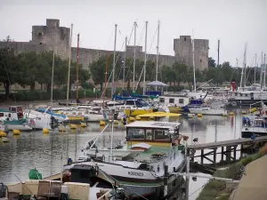 Aigues-Mortes - Port de plaisance avec ses bateaux amarrés et remparts de la cité en arrière-plan