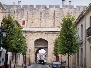 Aigues-Mortes - Porte de Saint-Antoine, arbres et façades de maisons