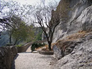 Aiguèze - Walkway omzoomd met bomen en rotsen