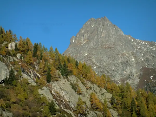 Aiguilles Rouges - Col des Montets, uitzicht op bomen en rotsen (kliffen) van de massale Aiguilles Rouges (Aiguilles Rouges Nature Reserve)