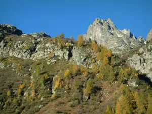 Aiguilles Rouges - Col des Montets, zicht op bomen in de herfst kleuren en rotsen van het Massif Aiguilles Rouges (Aiguilles Rouges Nature Reserve)