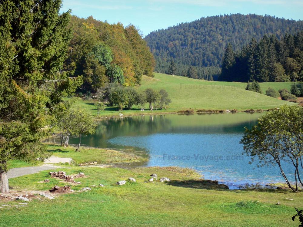 Guide de l'Ain - Paysages de l'Ain - Lac Genin entouré de prairies et d'arbres ; dans le Haut-Bugey