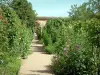 Ainay-le-Vieil城堡 - Chartreuses des Montreuils：花园里种着树木，植物和花卉，背景中的拱廊