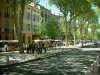 Aix-en-Provence - Rue (cours Mirabeau) bordée de platanes et de beaux bâtiments avec un marché de spécialités locales