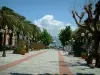 Ajaccio - Place Maréchal-Foch avec son allée bordée de palmiers et de platanes