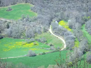 Alagnon gorges - View of the green and wooded landscape of the Alagnon valley from the site of the Château de Léotoing