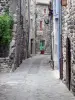 Alba-la-Romaine - Straat met stenen huizen