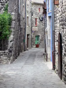 Alba-la-Romaine - Street lined with stone houses