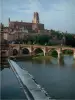 Albi - Rivière (le Tarn), Pont-Vieux, maisons de la vieille ville, arbres, palais de la Berbie et cathédrale Sainte-Cécile