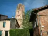 Albi - Huizen en toren van de kathedraal Sainte-Cecile