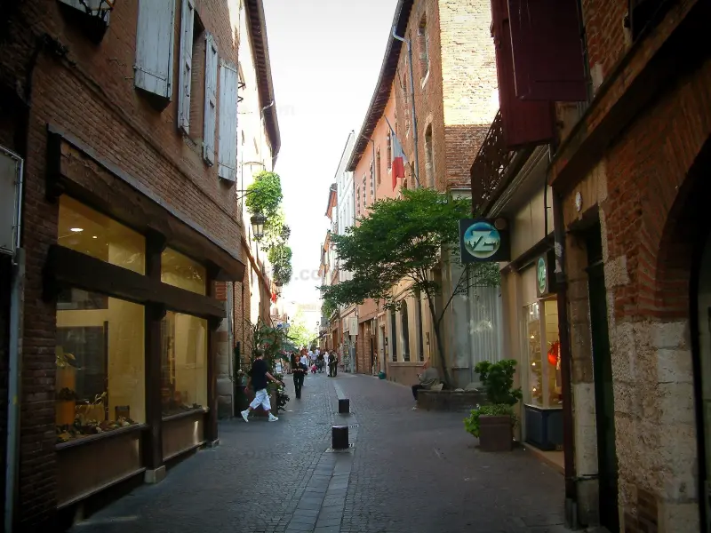 Albi - Voetgangersstraat, winkels, bakstenen huizen en het gemeentehuis (mairie)