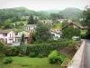 Aldudes-Tal - Wohnhäuser des Dorfes Saint-Etienne-de-Baïgorry mit grüner Umgebung