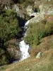 Alpenlandschappen van de Savoie - Streamen helling, struiken en gras