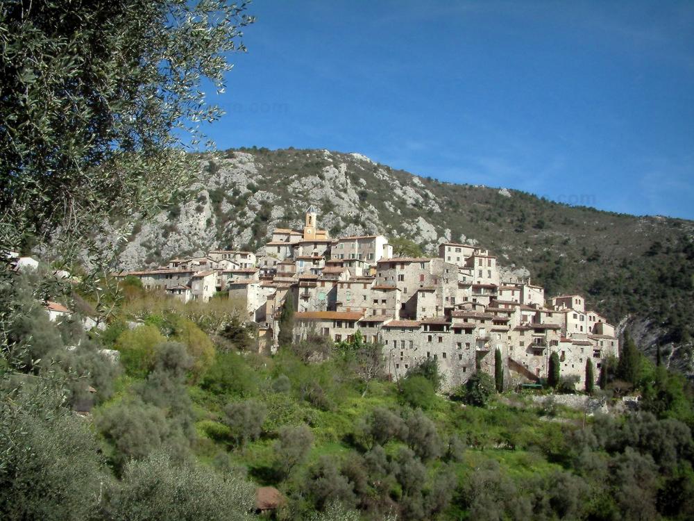 Guide des Alpes-Maritimes - Peillon - Vieux village avec ses oliviers et ses arbres, puis la montagne