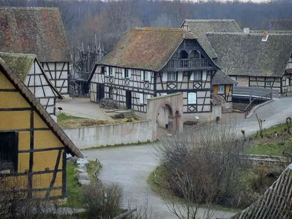 The Alsace heritage museum - Tourism, holidays & weekends guide in the Haut-Rhin