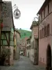 The Alsace Wine Route - Gueberschwihr: Street paved with houses with colourful facades decorated with old shop signs