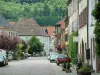 The Alsace Wine Route - Kaysersberg: Paved street lined with pastel color houses, trees in background