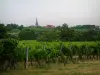 The Alsace Wine Route - Wine Trail: Vines, trees and village in background