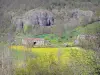 Guida dell'Alta Loira - Paesaggi dell'Alta Loira - Gole dell'Allier: case in pietra circondate da prati fioriti, pareti rocciose sullo sfondo