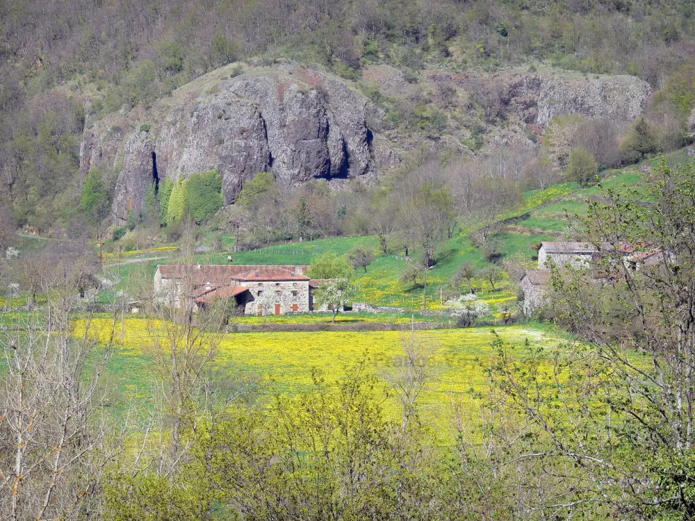 Guida dell'Alta Loira - Paesaggi dell'Alta Loira - Gole dell'Allier: case in pietra circondate da prati fioriti, pareti rocciose sullo sfondo