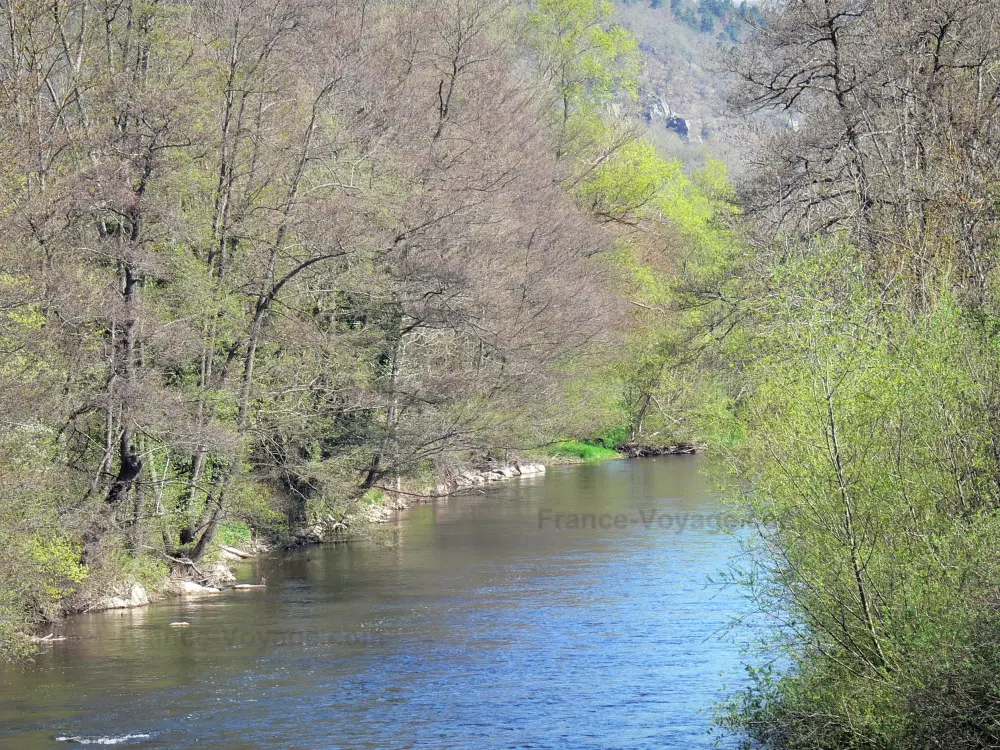 Guida dell'Alta Loira - Paesaggi dell'Alta Loira - Gole di Alagnon: fiume Alagnon fiancheggiato da alberi