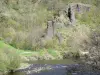 Guida dell'Alta Loira - Paesaggi dell'Alta Loira - Gole dell'Allier: pareti rocciose a picco sul fiume Allier e alberi lungo l'acqua