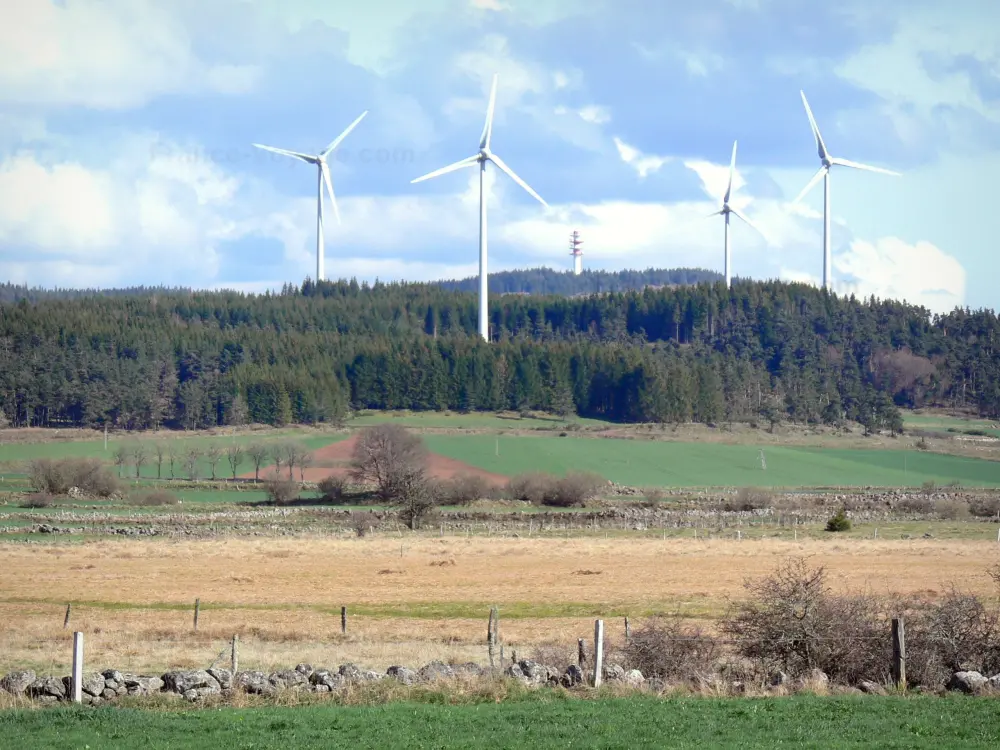 Guida dell'Alta Loira - Paesaggi dell'Alta Loira - Turbine eoliche che dominano foreste e pascoli