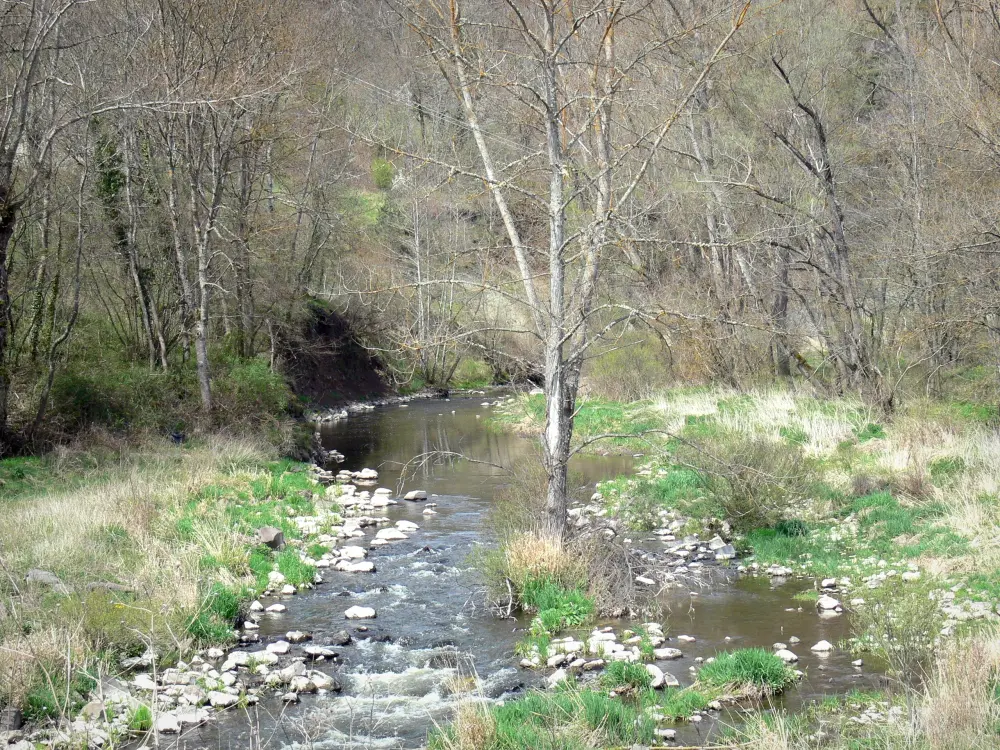 Guida dell'Alta Loira - Paesaggi dell'Alta Loira - Piccolo fiume fiancheggiato da alberi