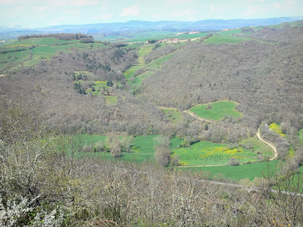 Guida dell'Alta Loira - Paesaggi dell'Alta Loira - Paesaggio boscoso e verde