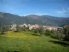 Alta Rocca - Prado salpicado de flores silvestres, árboles de olivo, el pueblo de Sainte-Lucie-de-Tallano y montañas en el fondo