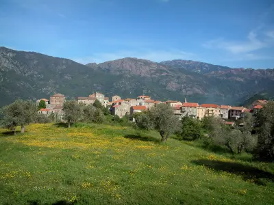 ajaccio corsica tourism