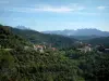 Alta Rocca - Pueblo rodeado de colinas cubiertas de bosques y los picos Bavella en el fondo