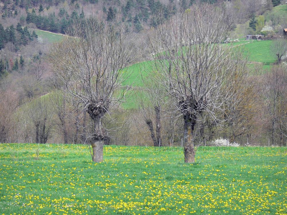 Guía de Alto Loira - Paisajes de Alto Loira -