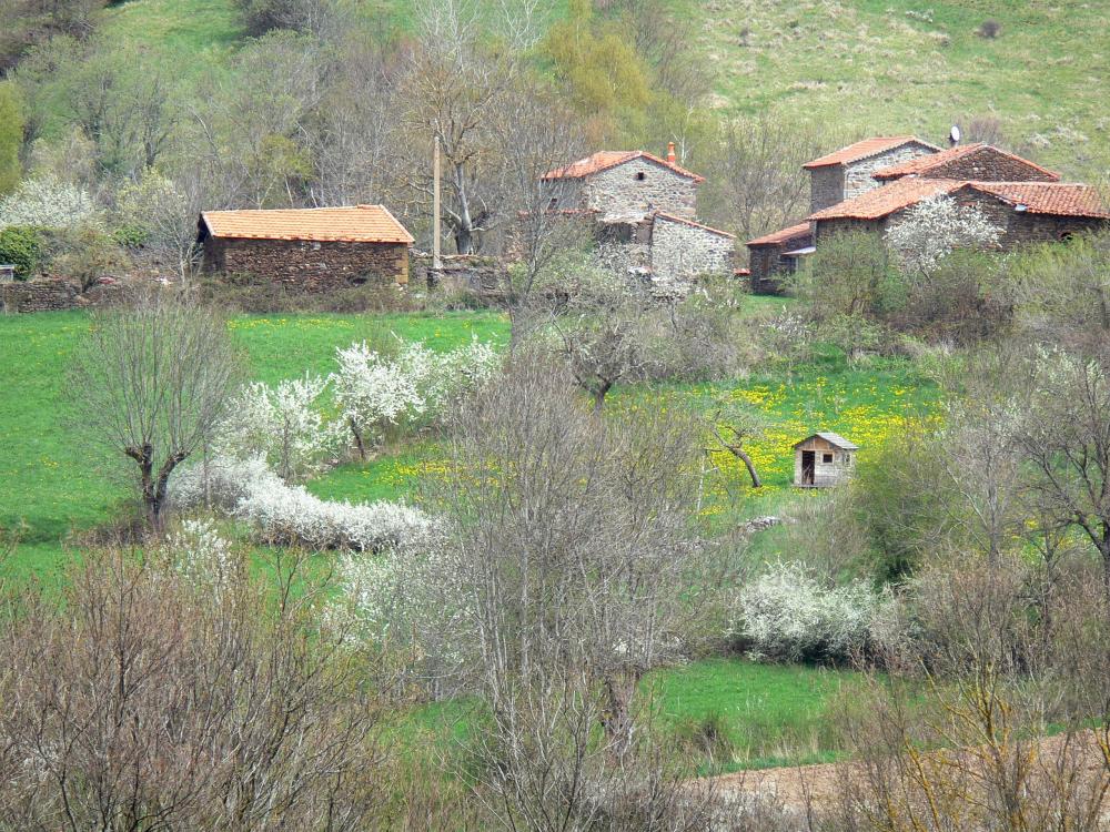 Guía de Alto Loira - Paisajes de Alto Loira -