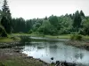 Altopiano dei Mille Stagni - Saônoises Vosges: alberi stagno, paludi e foreste (Parco Naturale Regionale dei Ballons des Vosges)