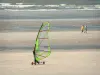 Guía de Altos-de-Francia - Hardelot-Plage - Opal Coast: playa de arena con una persona que practica la velocidad a vela (windsurf sobre ruedas), dos cochecitos, gaviotas y el mar (Canal Inglés) en el Parque Natural Regional de los Caps et Marais d'Opale