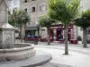 Ambert - Fontaine de la place Saint-Jean, arbres, terrasses de cafés et façades de maisons