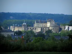 Amboise - Castelo Real com vista para as casas da cidade, árvores