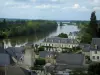 Amboise - Maisons de la ville, fleuve (la Loire), arbres et nuages dans le ciel