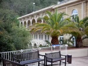 Amélie-les-Bains-Palalda - Resort and spa town: Mondony spa establishment (thermes), palm trees and benches in the foreground