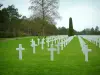 Amerikaanse begraafplaats van Colleville-sur-Mer - Graven van de Amerikaanse militaire begraafplaats en bomen