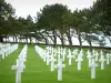 Amerikaanse begraafplaats van Colleville-sur-Mer - Graven van de Amerikaanse militaire begraafplaats en bomen