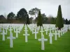 Amerikanischer Friedhof von Colleville-sur-Mer - Gräber des amerikanischen Soldatenfriedhofes und Bäume