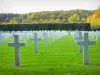 Amerikanischer Friedhof von Romagne-sous-Montfaucon - Amerikanische Friedhofsmarkierungen