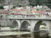 Anduze - Ponte sul fiume Gardon e le case della città nella Cevennes