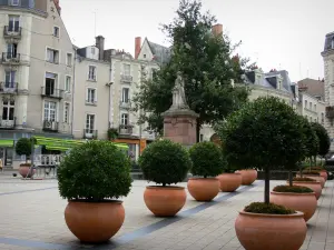 Angers - Place Sainte-Croix decorado con arbustos en macetas y una estatua y edificios del casco antiguo