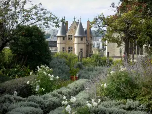 Angers - Castillo de jardín con vistas de la casa real y la capilla